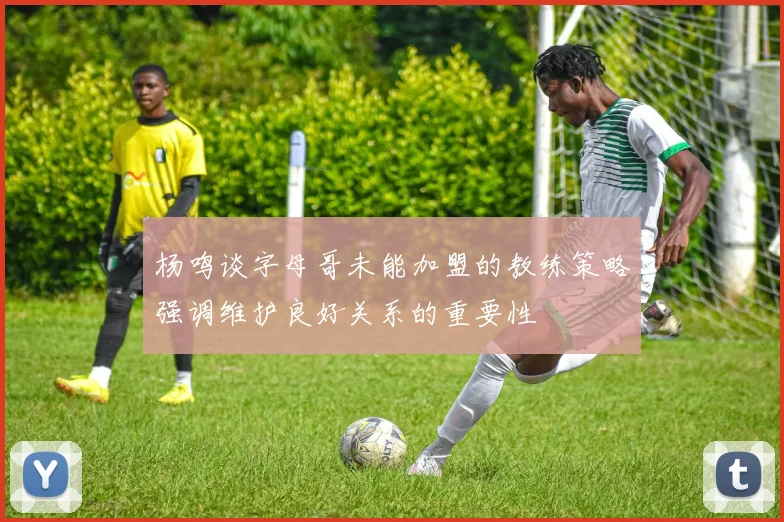杨鸣谈字母哥未能加盟的教练策略强调维护良好关系的重要性