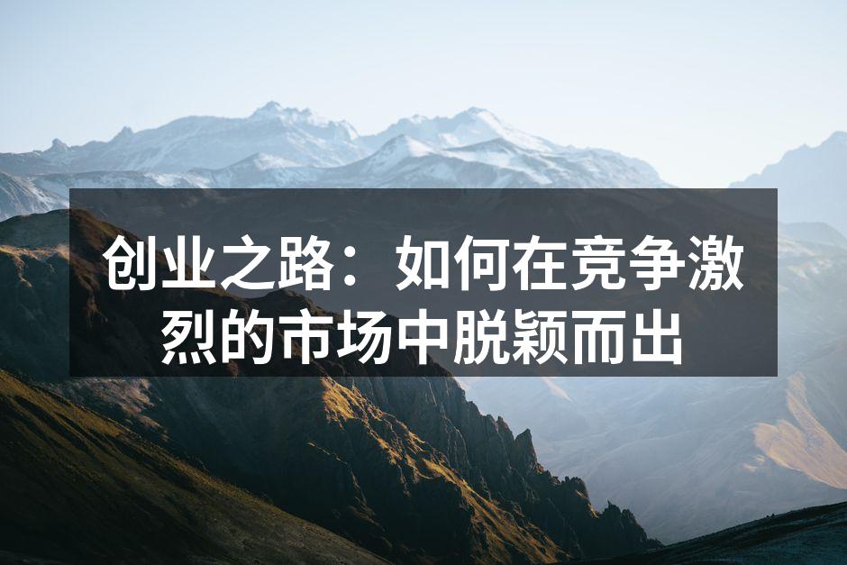 创业之路：如何在竞争激烈的市场中脱颖而出